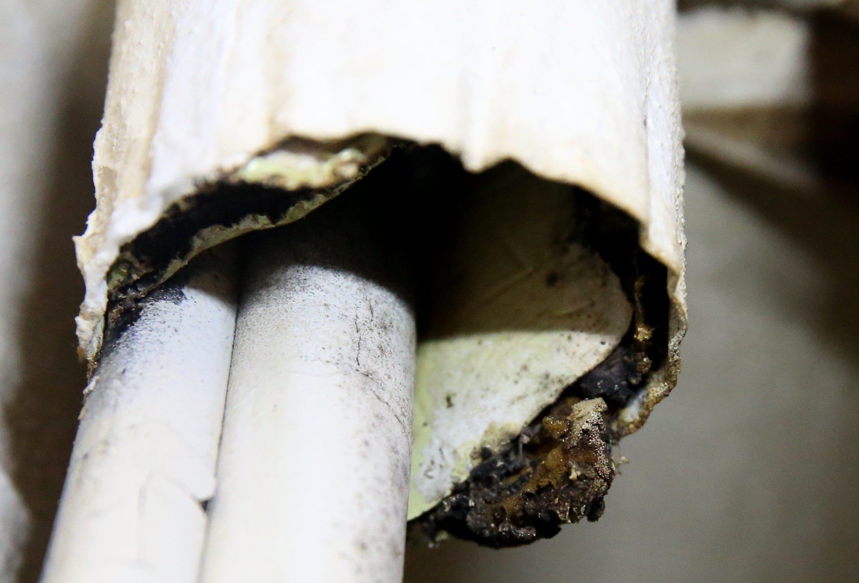 Deplorable conditions at T.E.H. Realty property Southwest Crossing Apartments